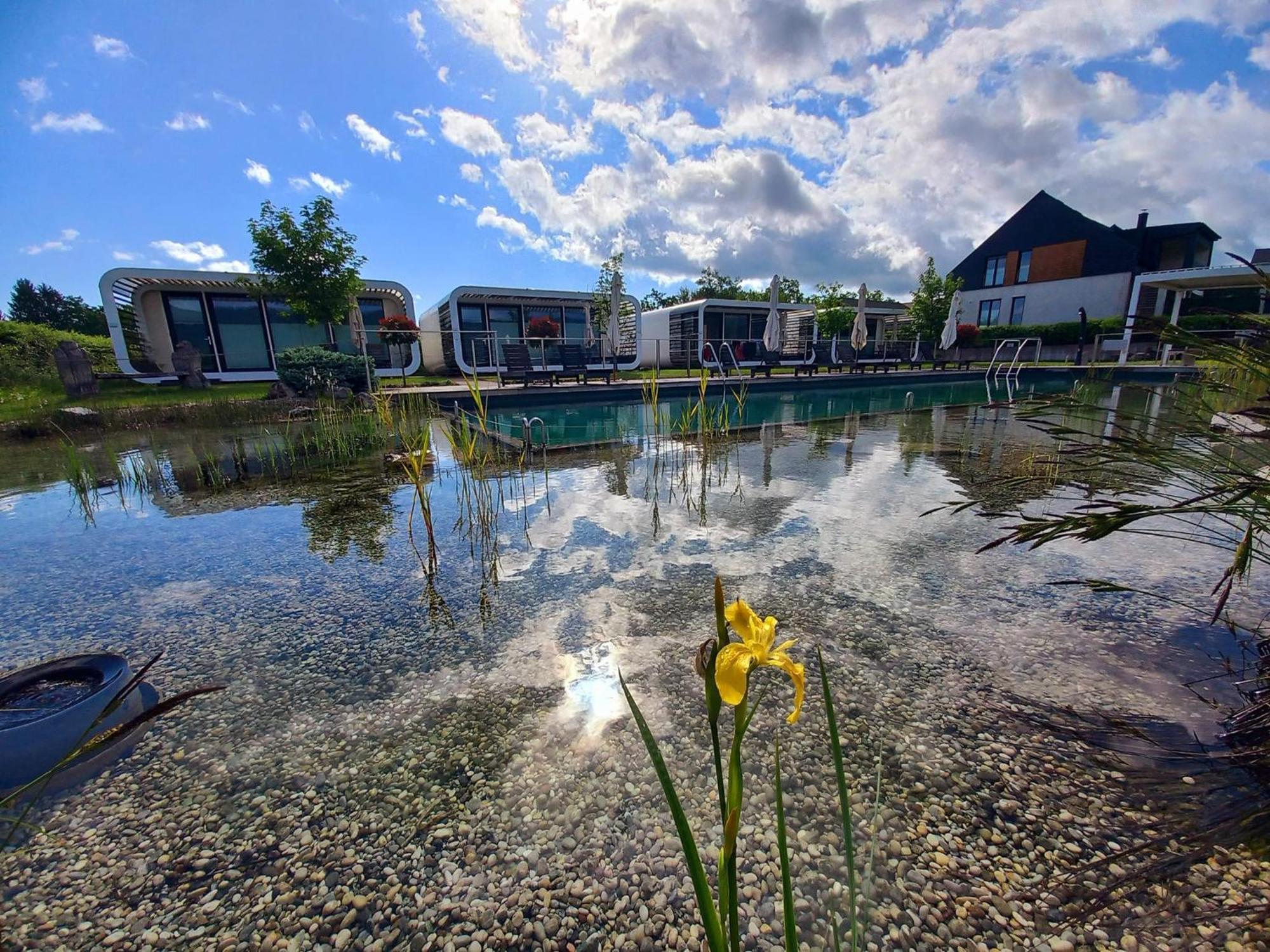 Glamping Maleric With Natural Pool Dragatuš المظهر الخارجي الصورة